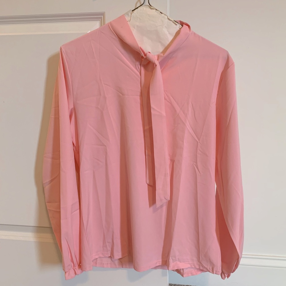 Pale Pink Blouse with Tie Neck